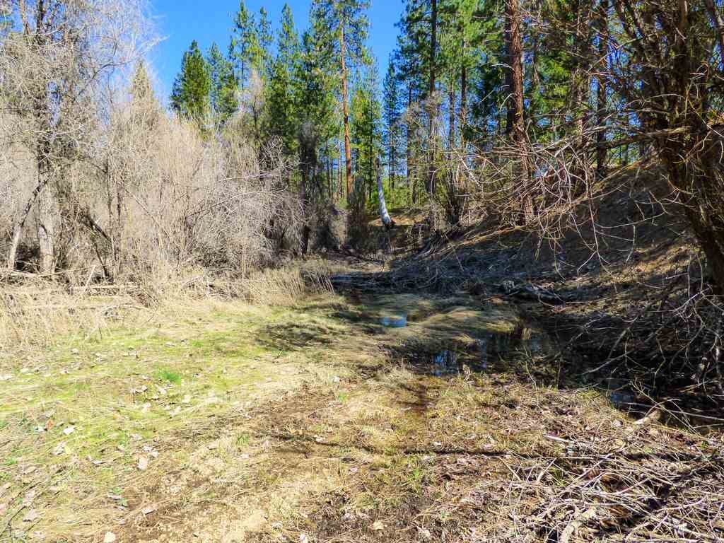 0 Culp Way Fort Jones, CA 96032 - Photo 9 of 16 Gallery Image 9