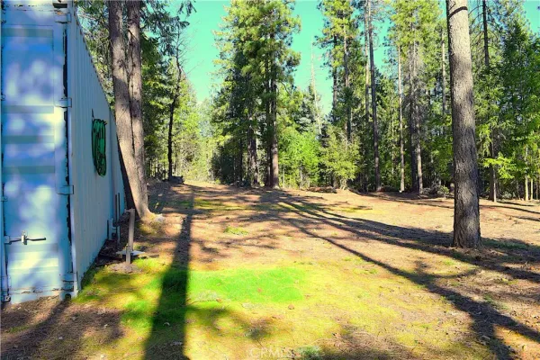 a view of a yard with an tree and wooden fence