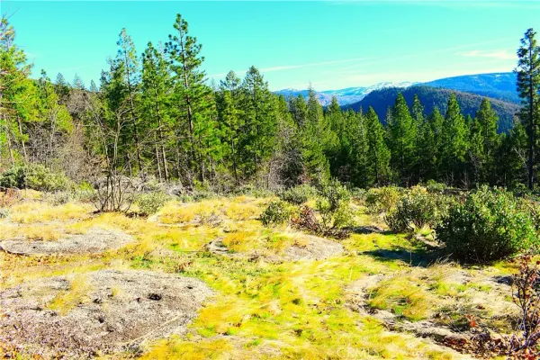 $184,555 | 18286 Gaston Drive, Nevada City, CA 95959