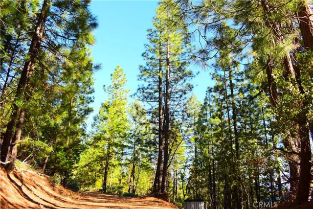 a view of a yard with swimming pool