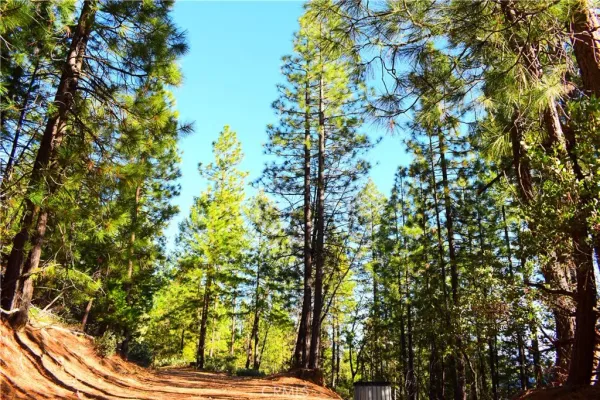 $184,555 | 18286 Gaston Drive, Nevada City, CA 95959