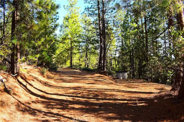 a view of a swimming pool with an outdoor space