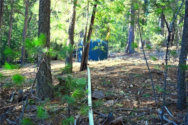 $184,555 | 18286 Gaston Drive, Nevada City, CA 95959