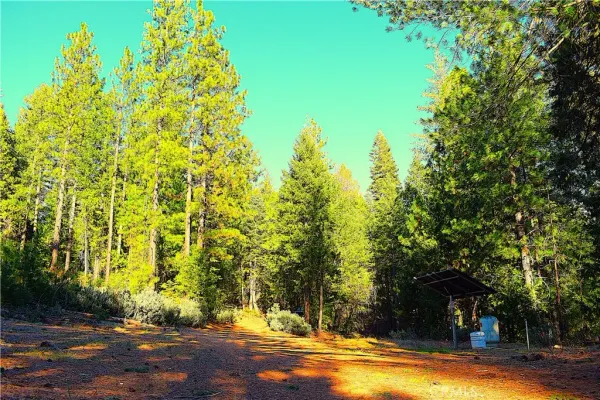 $184,555 | 18286 Gaston Drive, Nevada City, CA 95959