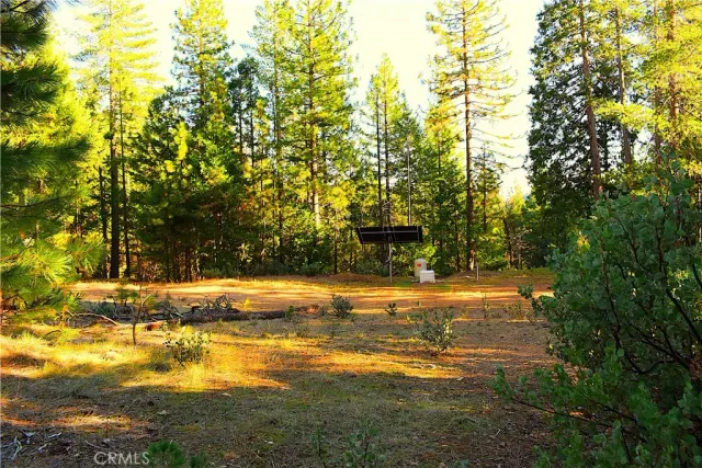 a view of a yard with an tree
