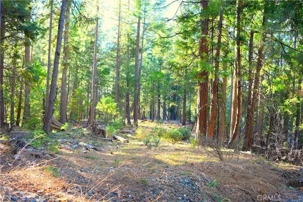 $184,555 | 18286 Gaston Drive, Nevada City, CA 95959