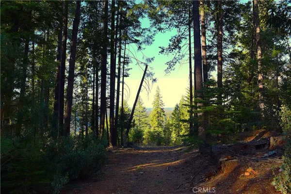 $184,555 | 18286 Gaston Drive, Nevada City, CA 95959