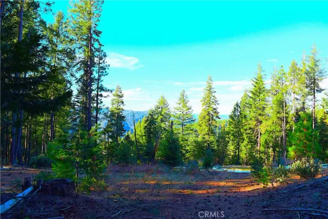 a view of swimming pool with a yard