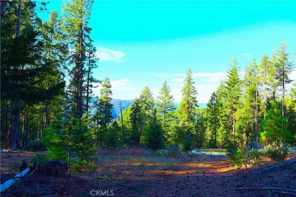 $184,555 | 18286 Gaston Drive, Nevada City, CA 95959