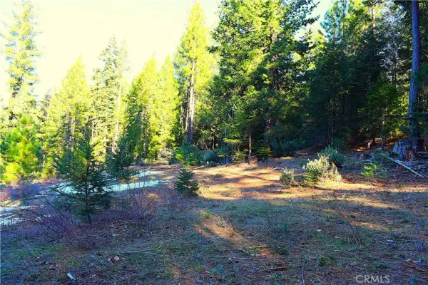 $184,555 | 18286 Gaston Drive, Nevada City, CA 95959