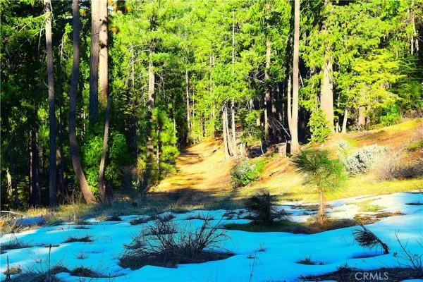 $184,555 | 18286 Gaston Drive, Nevada City, CA 95959