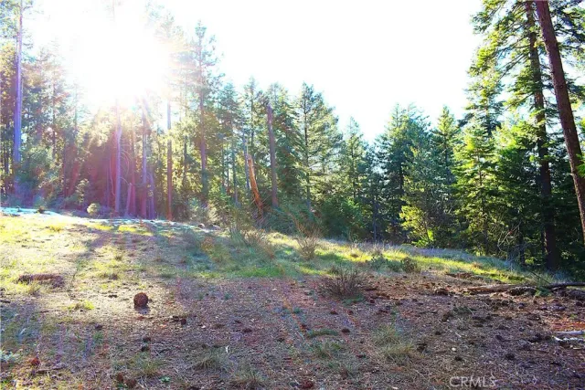 $184,555 | 18286 Gaston Drive, Nevada City, CA 95959