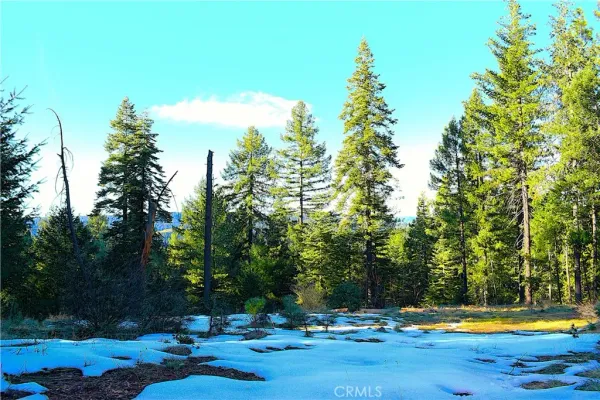 $184,555 | 18286 Gaston Drive, Nevada City, CA 95959