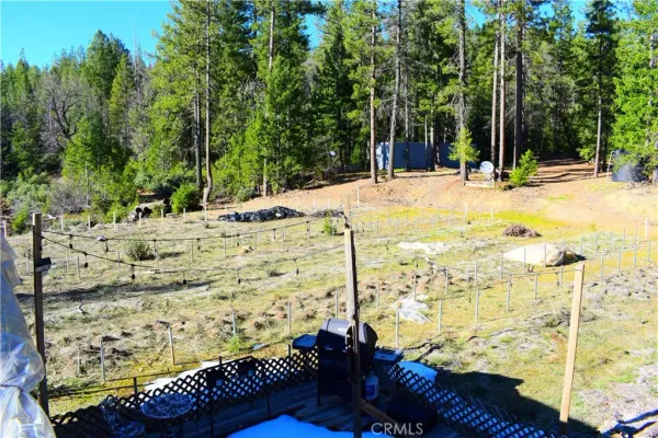 a view of a pathway with a tree