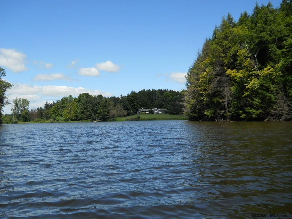 423 Tan Hollow Road Westerlo, NY 12193 - Photo 1 of 43 Photo 1