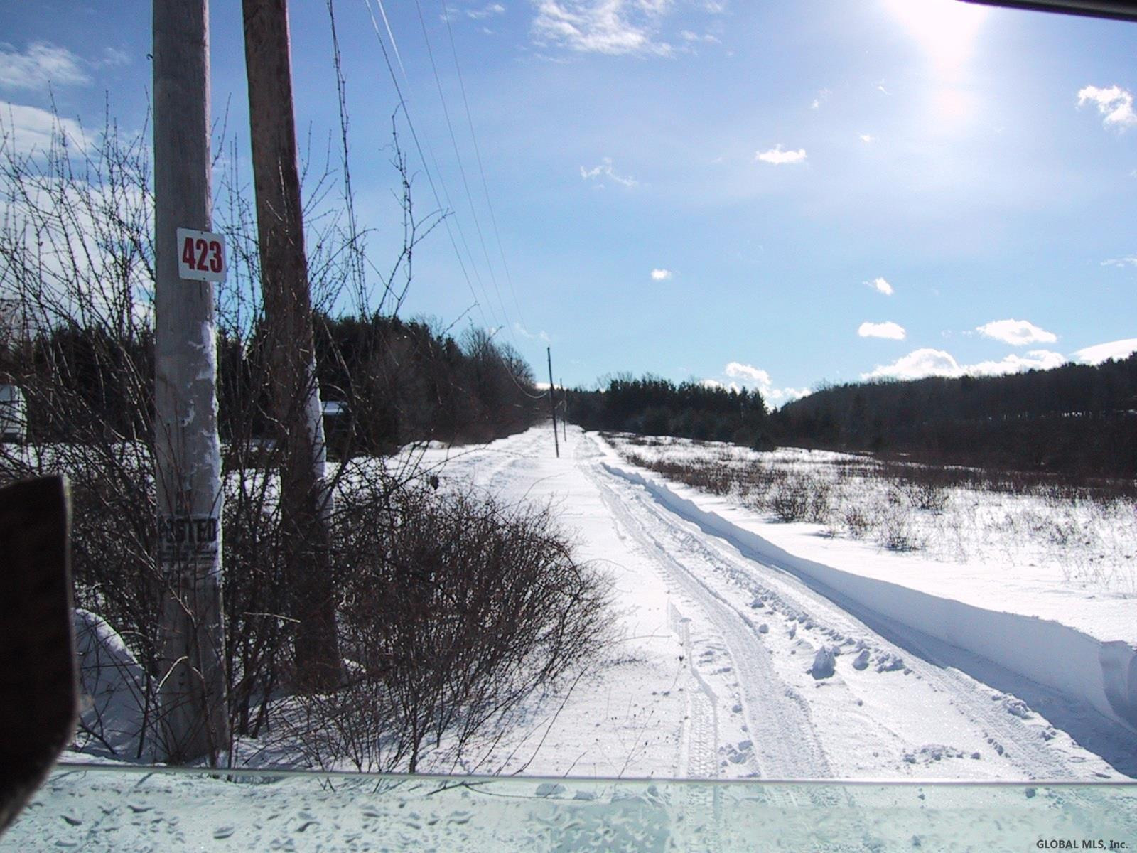 423 Tan Hollow Road Westerlo, NY 12193 - Photo 13 of 43 Photo 13