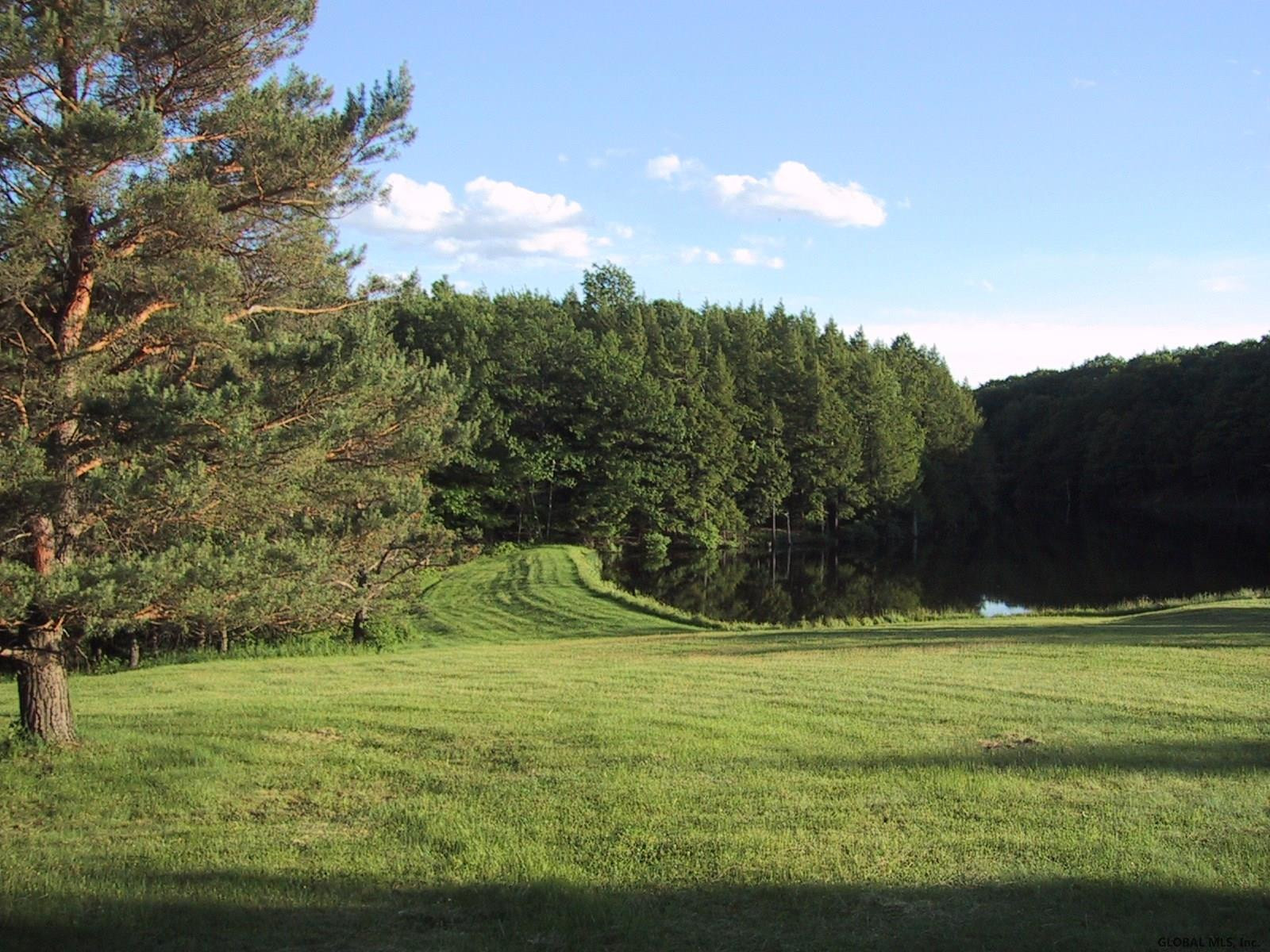 423 Tan Hollow Road Westerlo, NY 12193 - Photo 17 of 43 Photo 17