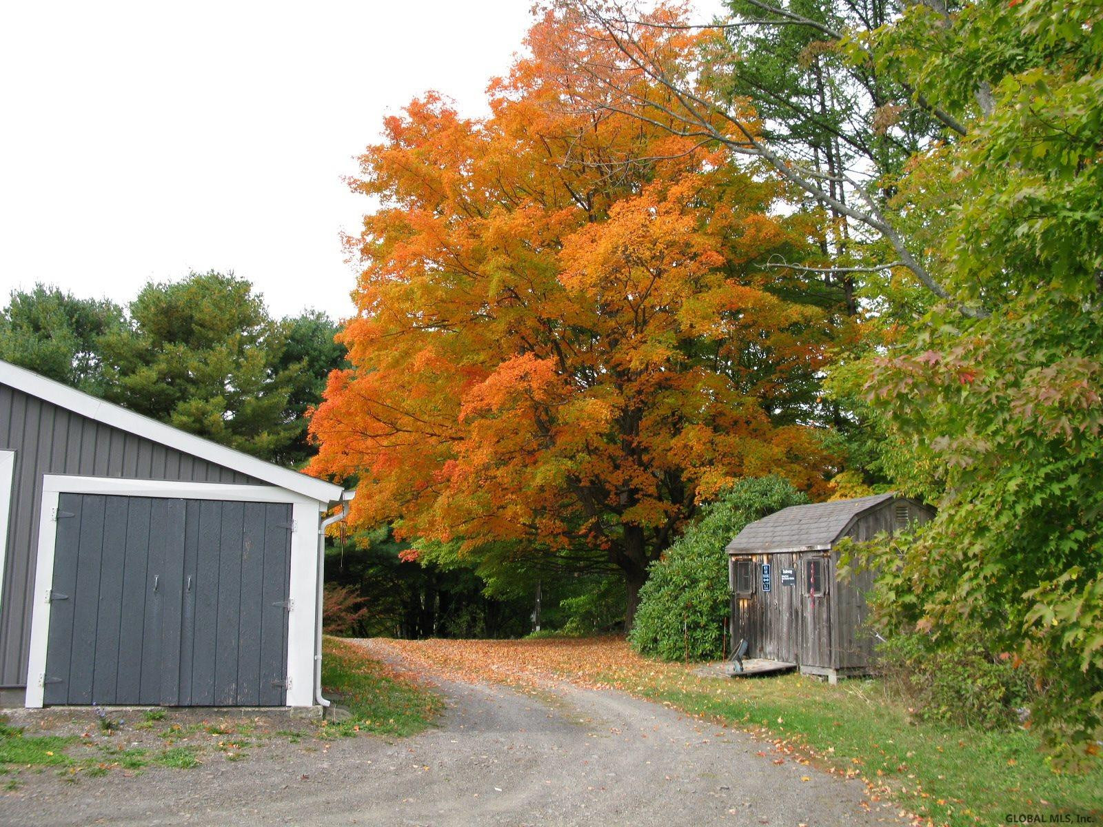 423 Tan Hollow Road Westerlo, NY 12193 - Photo 29 of 43 Photo 29