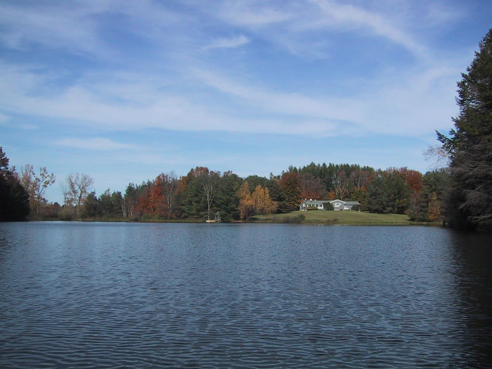423 Tan Hollow Road Westerlo, NY 12193 - Photo 5 of 43 Photo 5