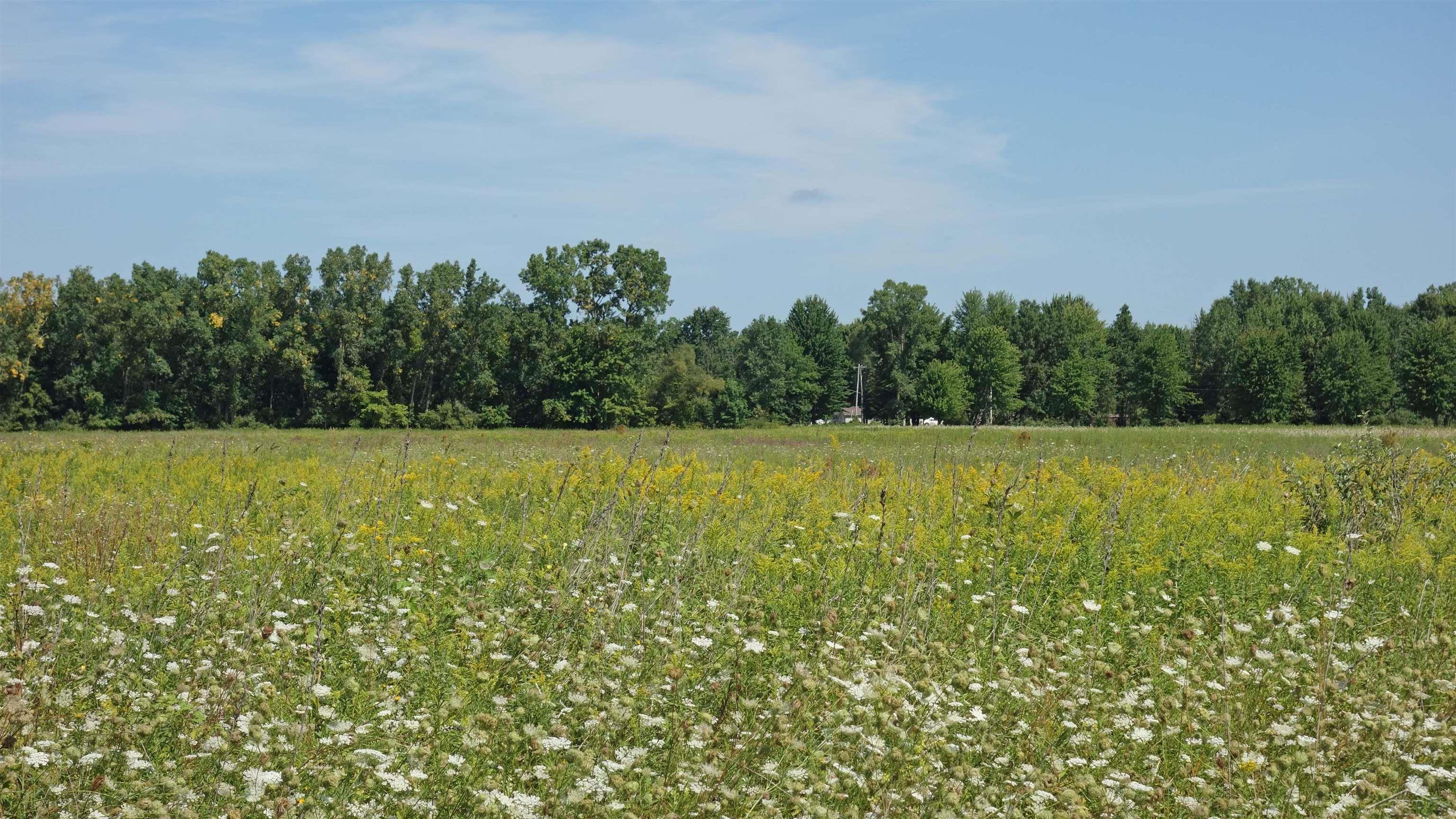 10000 Peet Road Chesaning, MI 48616 - Photo 1 of 3 Gallery Image 1