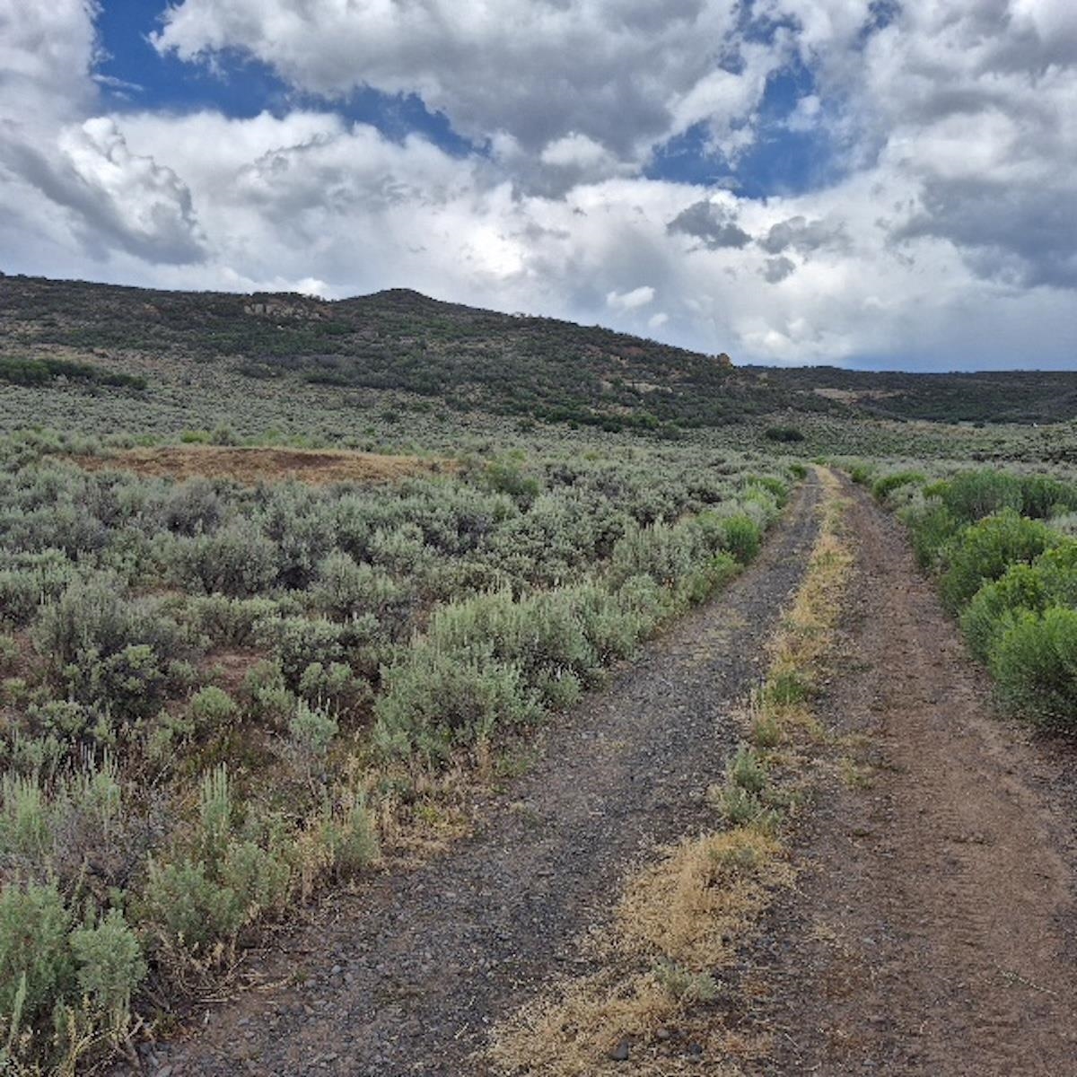 Tbd Harrison Creek Road Collbran, CO 81624 - Photo 24 of 40 Gallery Image 24