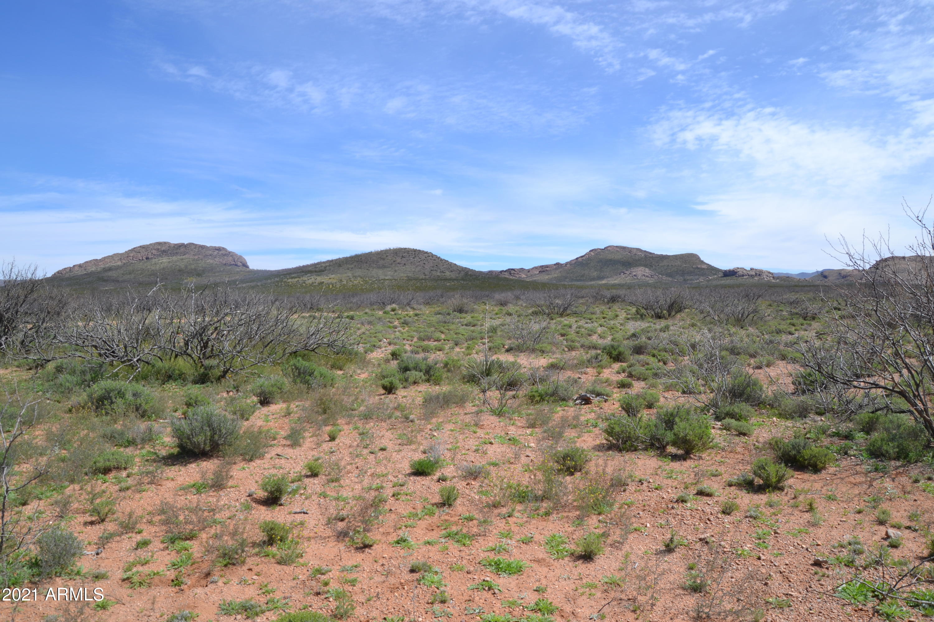 36.7 Four Winds, Unit 3 Douglas, AZ 85607 - Photo 11 of 20 DSC_0123