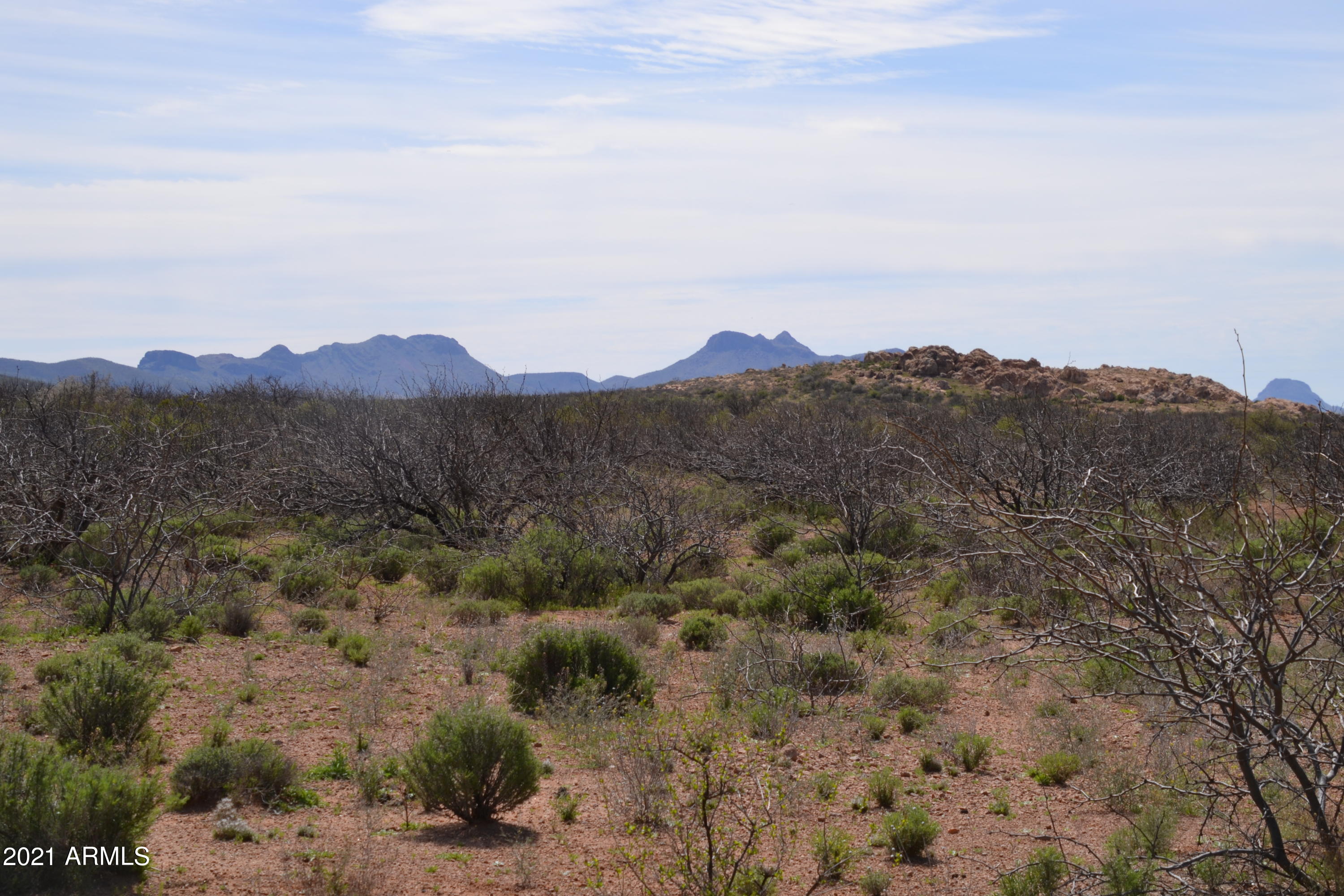 36.7 Four Winds, Unit 3 Douglas, AZ 85607 - Photo 12 of 20 DSC_0124