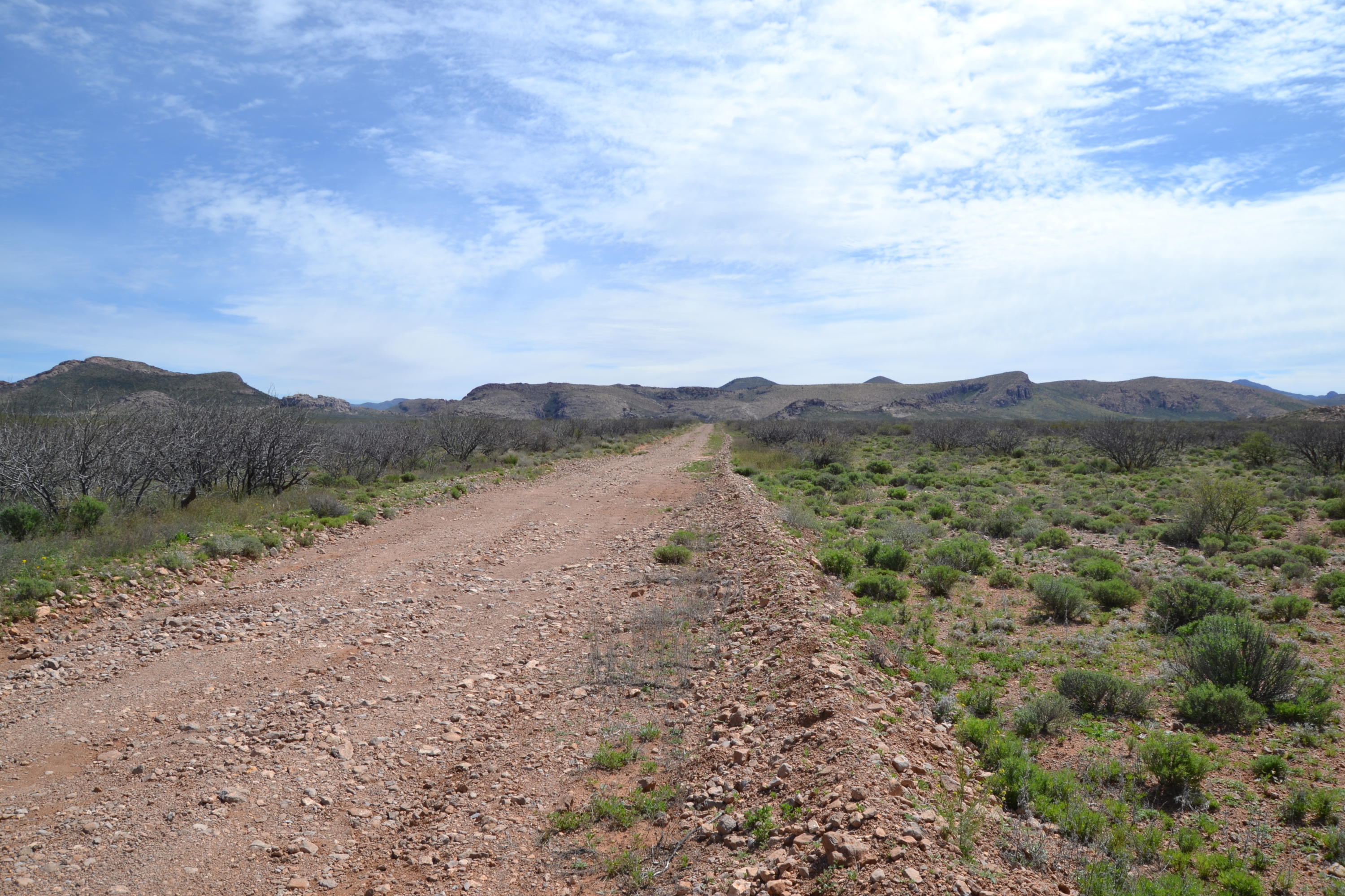 36.7 Four Winds, Unit 3 Douglas, AZ 85607 - Photo 19 of 20 DSC_0132
