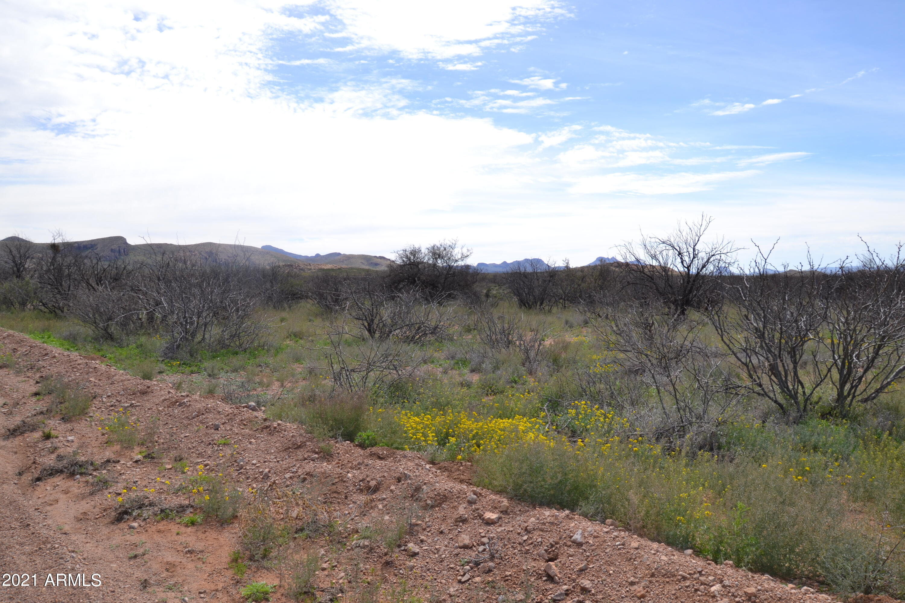 36.7 Four Winds, Unit 3 Douglas, AZ 85607 - Photo 3 of 20 DSC_0111