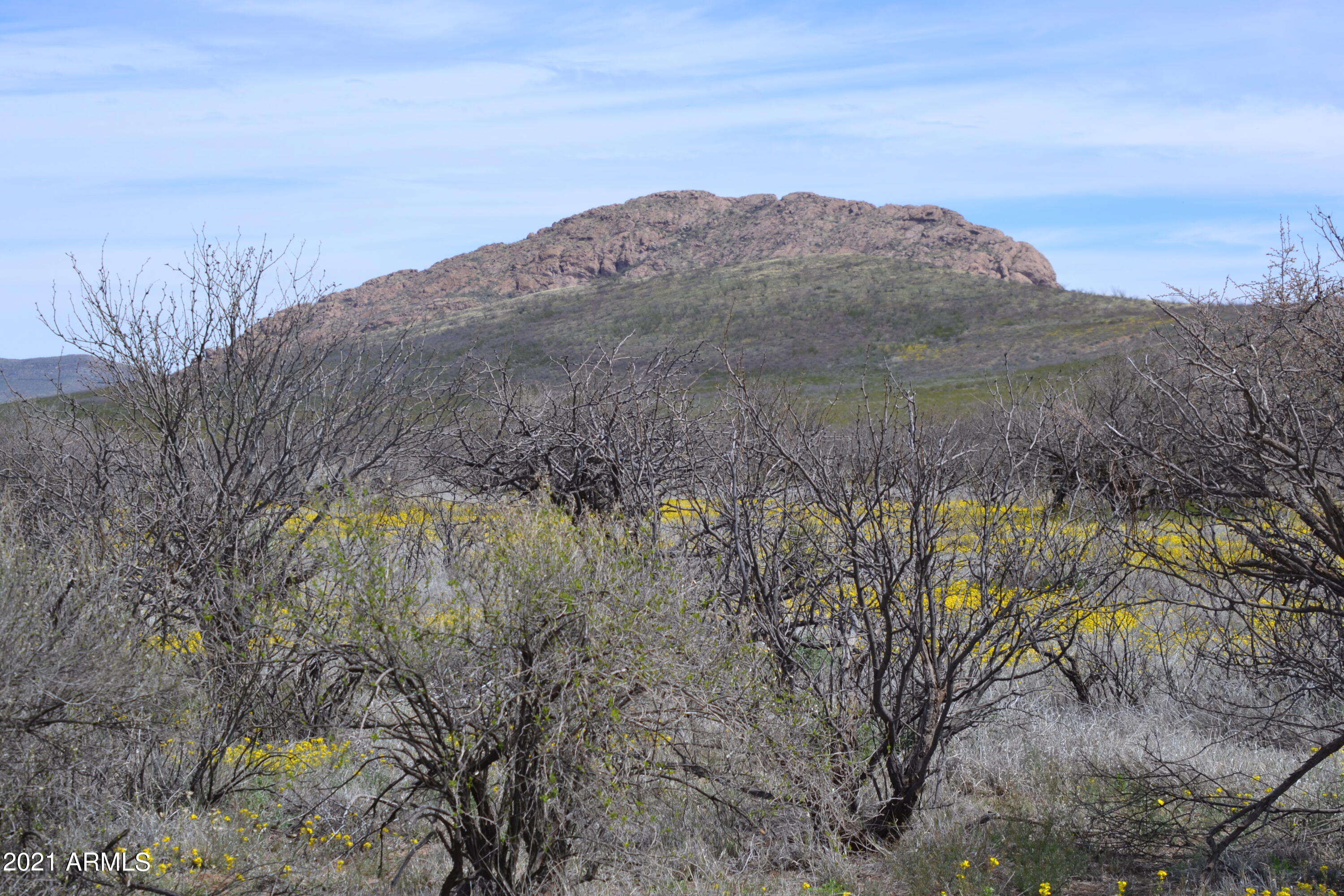 36.7 Four Winds, Unit 3 Douglas, AZ 85607 - Photo 5 of 20 DSC_0114
