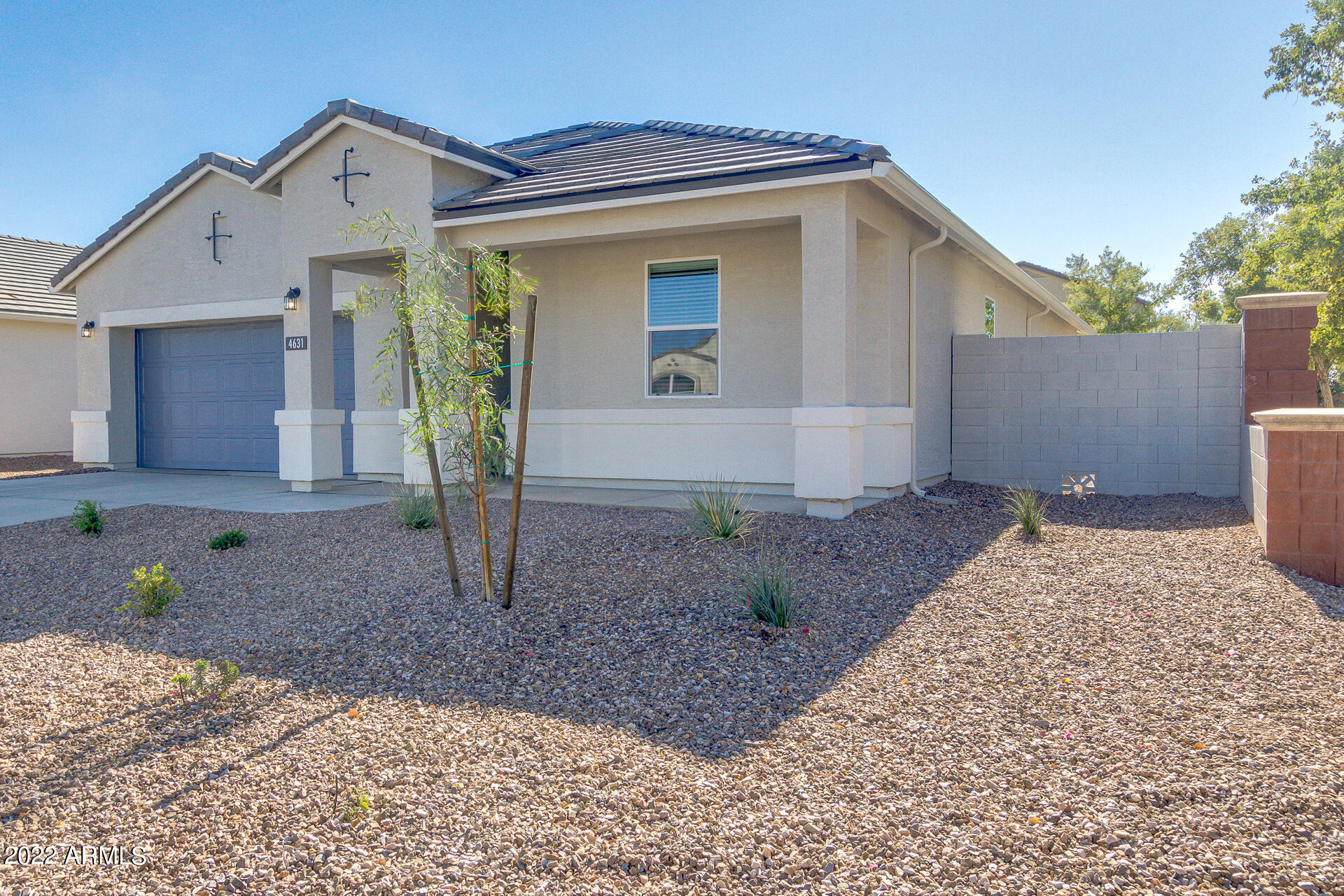 24069 West Ripple Road Buckeye, AZ 85326 - Photo 4 of 31 02-Ginger