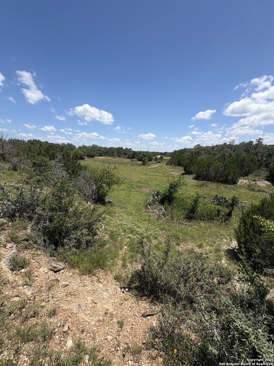 184 Peyton Colony Road Blanco, TX 78606 - Photo 5 of 33