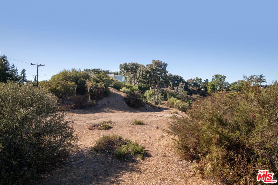 21839 Saddle Peak Road Topanga, CA 90290 - Photo 63 of 72 a view of a dry yard with trees in the background