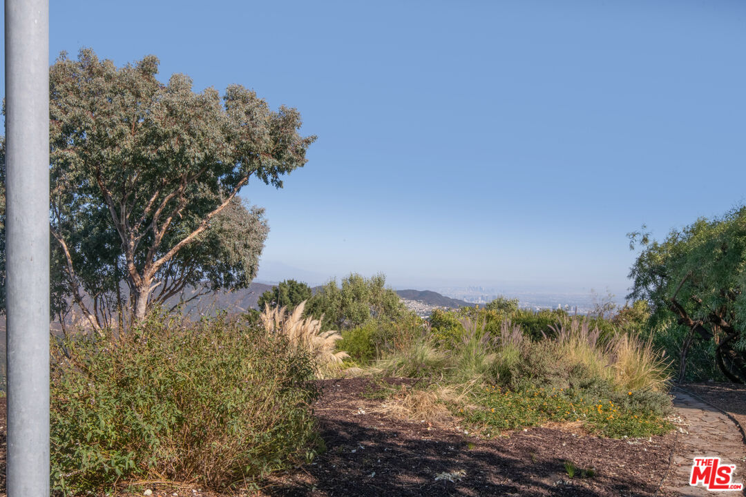 21839 Saddle Peak Road Topanga, CA 90290 - Photo 65 of 72 a view of a yard