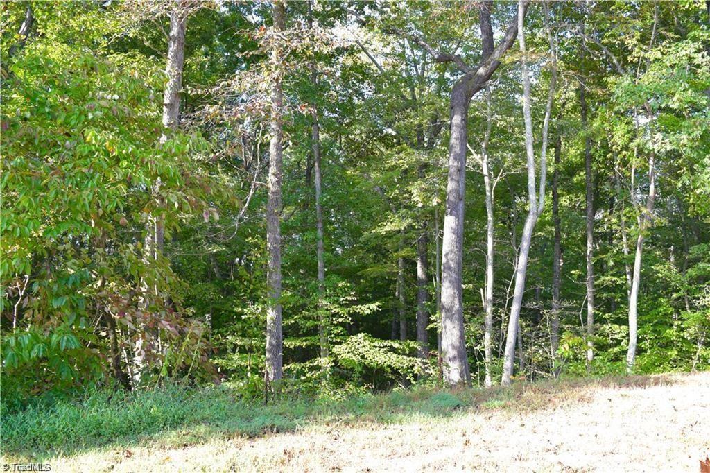 34 Scenic Ridge Place King, NC 27021 - Photo 2 of 2 Gallery Image 2