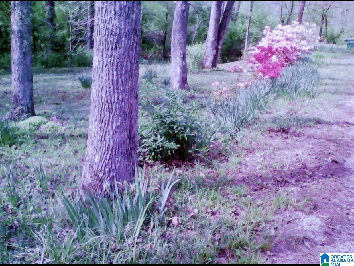 777 Tawbush Road Locust Fork, AL 35097 - Photo 32 of 33