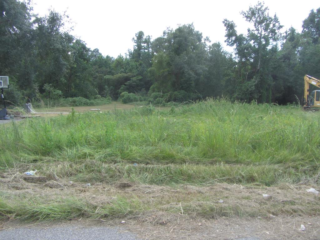 99999 Virgil Mitchell Road Picayune, MS 39466 - Photo 1 of 1 Main View