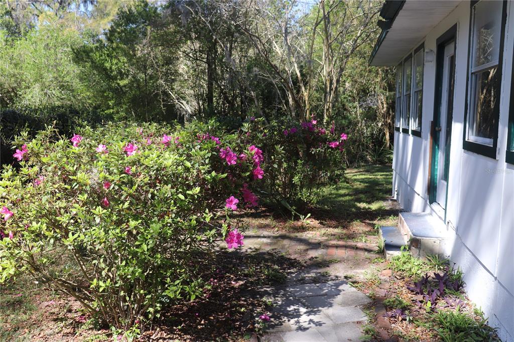 19791 Southwest 108th Lane Dunnellon, FL 34432 - Photo 2 of 19
