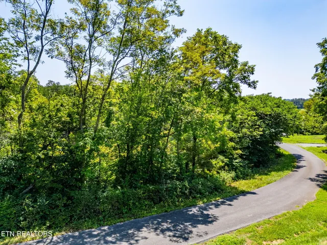 $35,000 | 7 Jeffrey Lane, Talbott, TN 37877