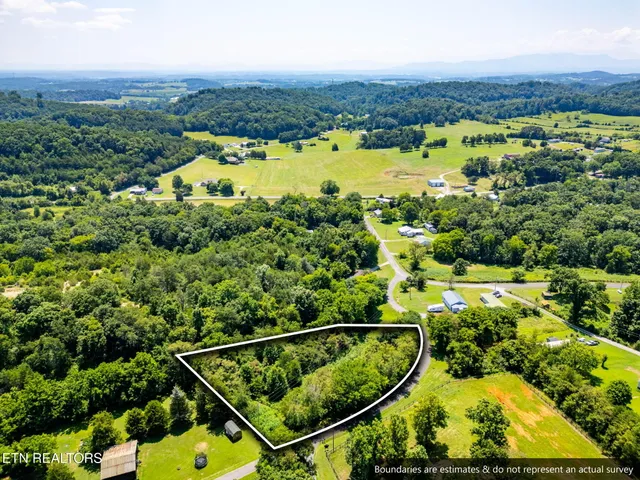 $35,000 | 7 Jeffrey Lane, Talbott, TN 37877