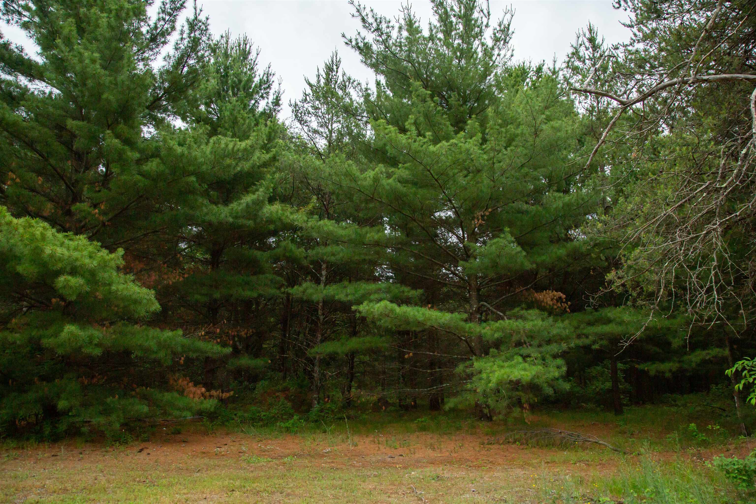 1123 County Rd C Arkdale, WI 54613 - Photo 60 of 61