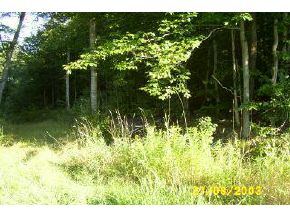 3 Rocky Ridge Road Fairfax, VT 05454 - Photo 1 of 1 Gallery Image 1