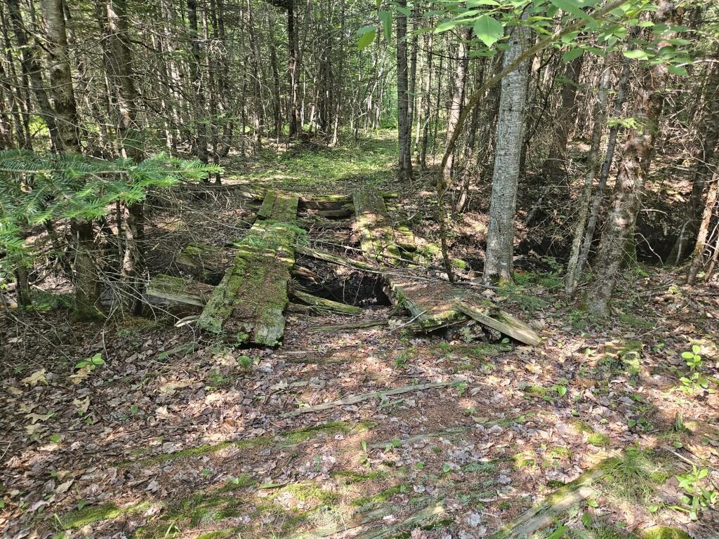 5 Farmington Falls Road New Sharon, ME 04955 - Photo 19 of 39 20260629_154257
