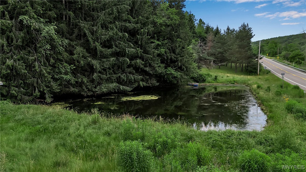 9023 State Rte 21 Fremont, NY 14826 - Photo 17 of 21 Pond