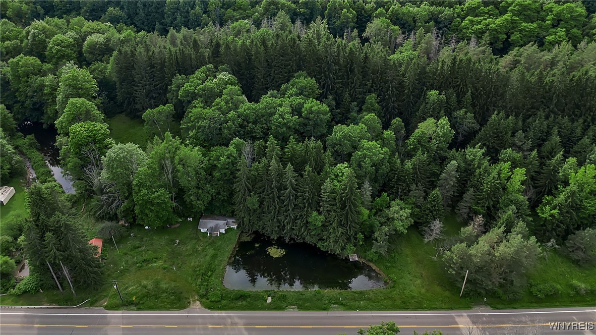 9023 State Rte 21 Fremont, NY 14826 - Photo 18 of 21 Aerial view
