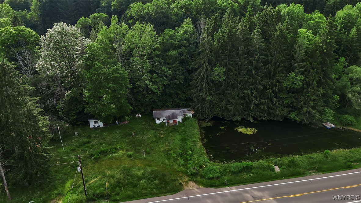 9023 State Rte 21 Fremont, NY 14826 - Photo 19 of 21 Aerial view