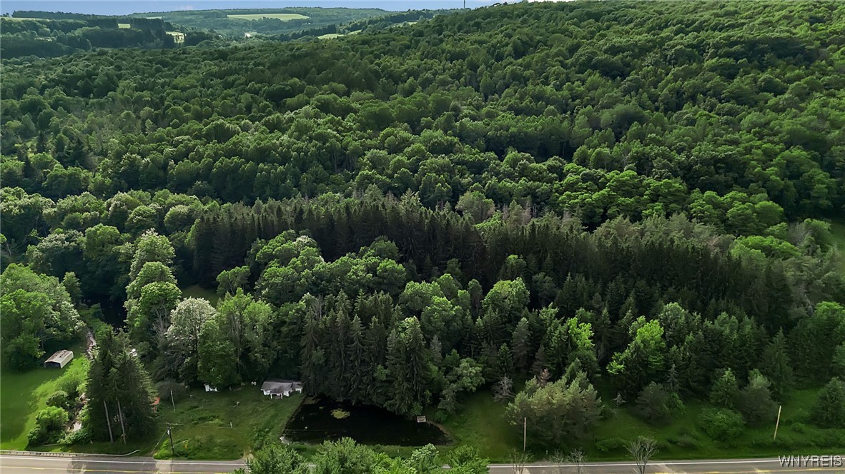 9023 State Rte 21 Fremont, NY 14826 - Photo 20 of 21 Aerial view