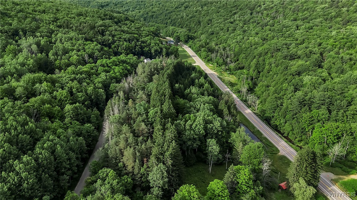 9023 State Rte 21 Fremont, NY 14826 - Photo 10 of 21 Aerial view