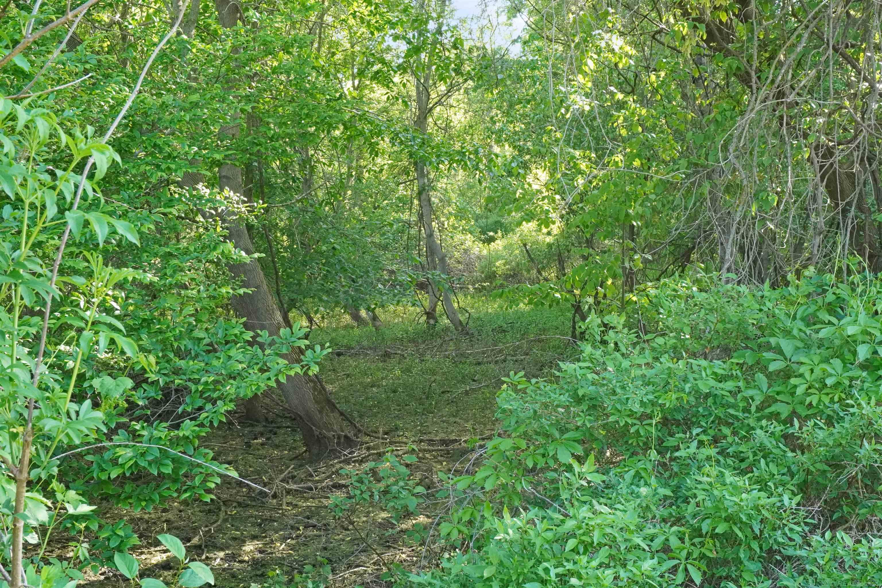 1385 North Blacks Corners Road Imlay City, MI 48444 - Photo 23 of 57