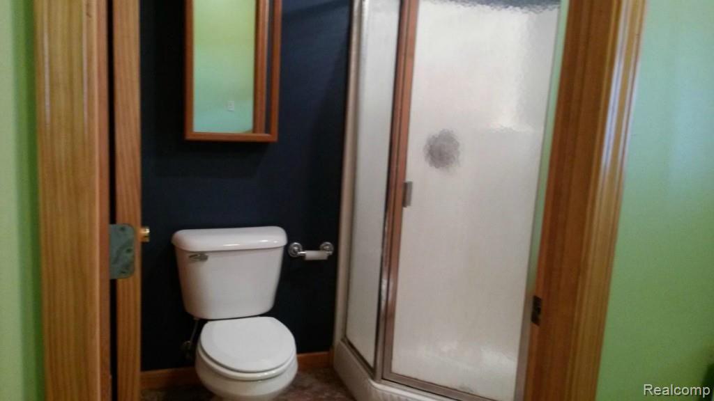 13140 West Albain Road Petersburg, MI 49270 - Photo 14 of 22 Bathroom with Separate Shower